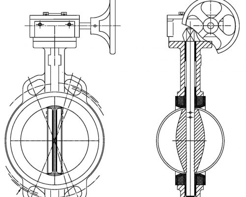 wafer type concentric butterfly valve